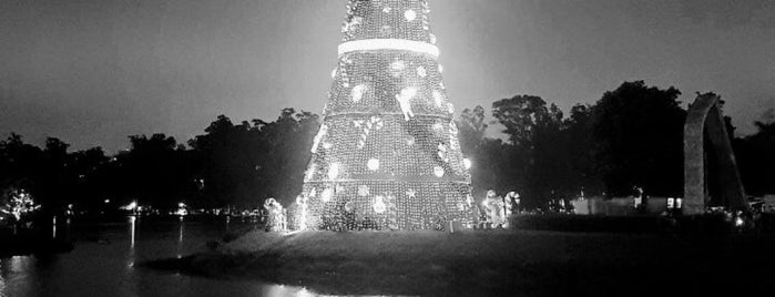 Árvore de Natal no Parque Ibirapuera - Ano 2017 is one of Alexandre’s Liked Places.