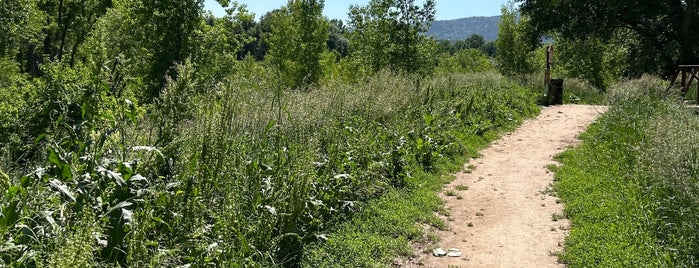 Red Fox Meadows Natural Area is one of Fort Collins, CO.