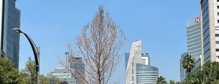 Glorieta de la Palma is one of CIUDAD DE MEXICO.