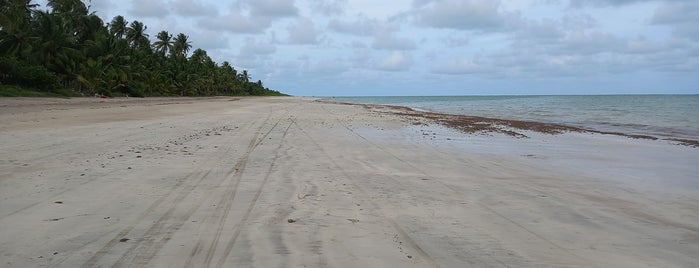 Praia do Toque is one of a dois.