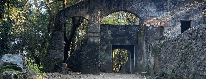 Parque nacional desierto De Los Leones is one of Tempat yang Disukai JC.