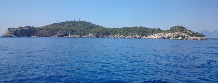 Dolphin Island is one of Turquia.