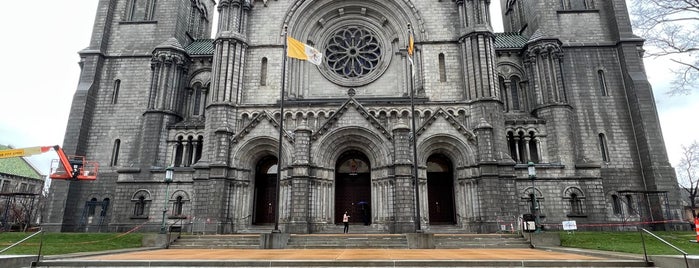 Cathedral Basilica of Saint Louis is one of Places to Visit in the STL.