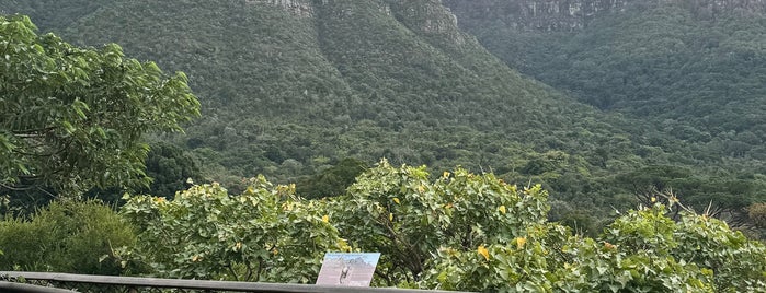 Kirstenbosch Botanical Gardens is one of Cape Town.
