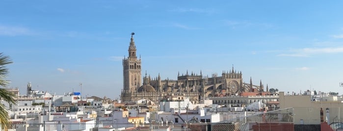 Magdalena Square is one of Sevilla.