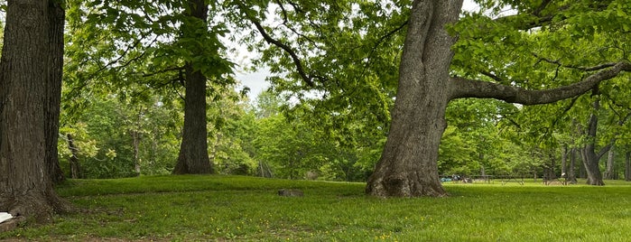 South River Falls Picnic Area is one of Lugares favoritos de Brandon.