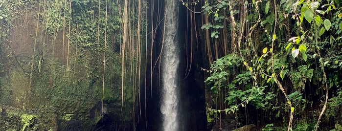 Sumampan Waterfall is one of bali 🌱.