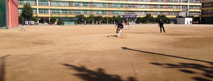 영남중학교 야구장 is one of Baseball Park.
