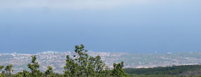 La Orotava is one of Tenerife.