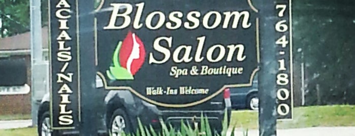 Blossom Salon and Spa is one of Jeremy’s Liked Places.