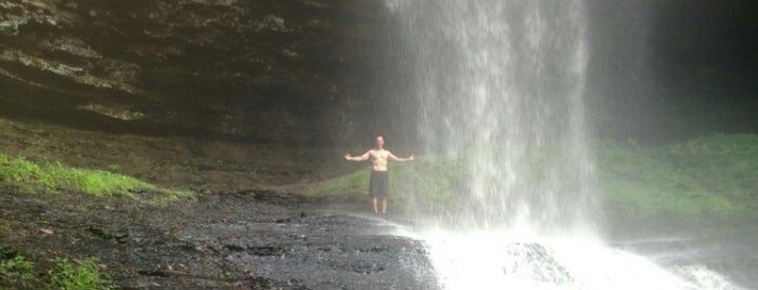 Piney Falls State Natural Area is one of Posti che sono piaciuti a Larry.