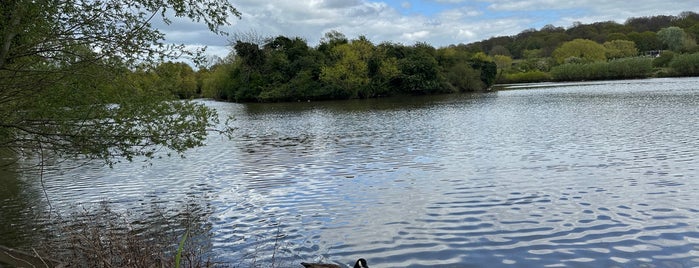 Hainault Forest Country Park is one of Green Space, Parks, Squares, Rivers & Lakes (3).