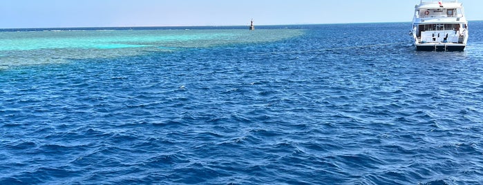 Jackson Reef - Dive Site is one of Sharm El Sheikh.