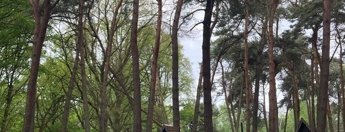 Wildpark Gangelt is one of Zuid Limburg.