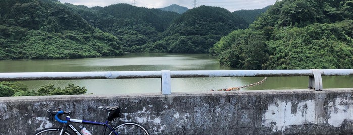 Yamagami Dam is one of ダムカードを配布しているダム（西日本編）.