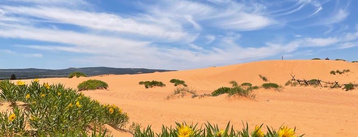 Coral Pink Sand Dunes State Park is one of arizona.