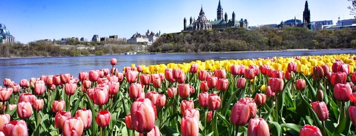 Ottawa River is one of Ottawa to-do list.