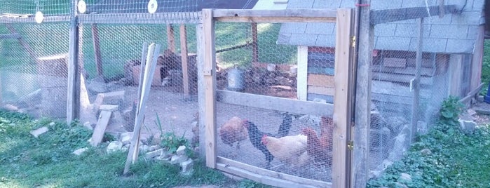 The Chicken Coop is one of most visited.