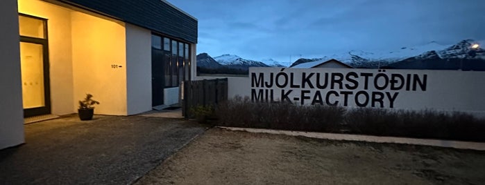 milkfactory is one of Iceland.