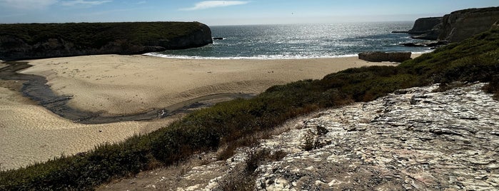 Bonny Doon Beach is one of Cal..