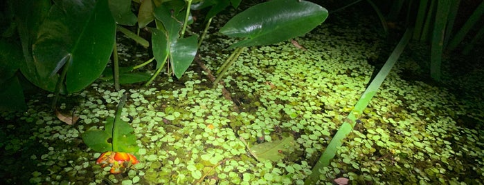 青蛙ㄚ婆ㄟ家民宿 is one of Taiwan - general.