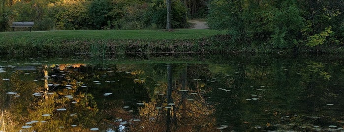 Captain Daniel Wright Woods Forest Preserve is one of Chicago - Fun.