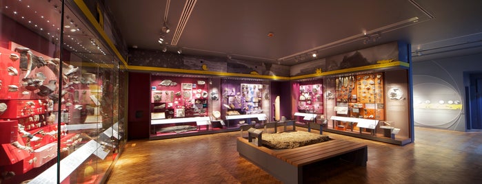 Royal Albert Memorial Museum & Art Gallery is one of สถานที่ที่บันทึกไว้ของ Eylül.