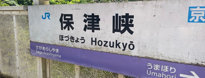Hozukyō Station is one of 山陰本線の駅.