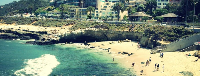 La Jolla Beach is one of San Diego.