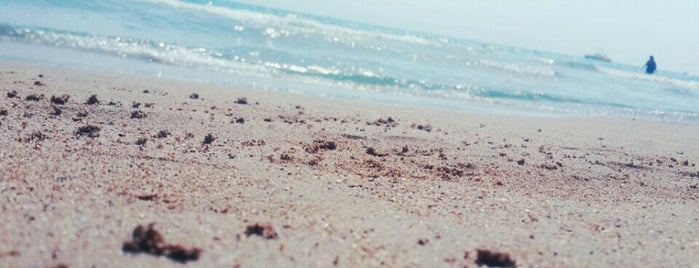 Sea Side Beach Launge is one of Posti che sono piaciuti a nuriye.tunc.