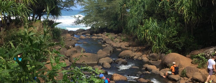 Na Pali Coast Adventures is one of Kauai.