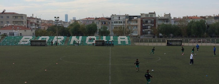 Bornova İlçe Stadyumu is one of Stadlar.