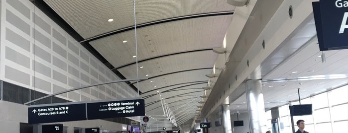 Detroit Metropolitan Wayne County Airport (DTW) is one of Michael Dylan : понравившиеся места.