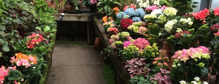 Glen Head Flower Shop is one of Orte, die Michael Dylan gefallen.