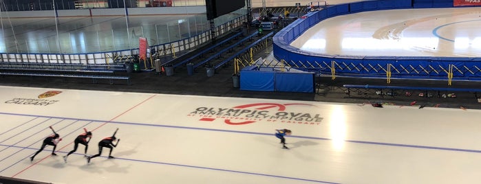 Olympic Oval is one of Historical rinks.
