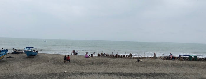 Playa Perdenales is one of Posti salvati di Andrea.