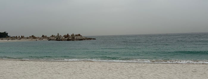 Shirarahama Beach is one of Lieux qui ont plu à Koji.