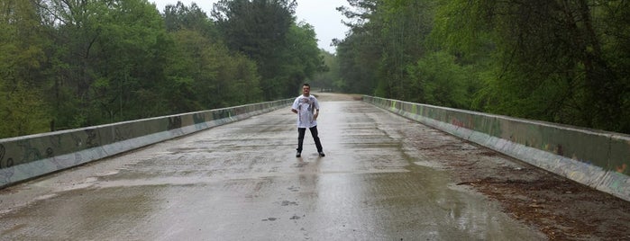 Walking Dead Bridge is one of Walking Dead Locations.