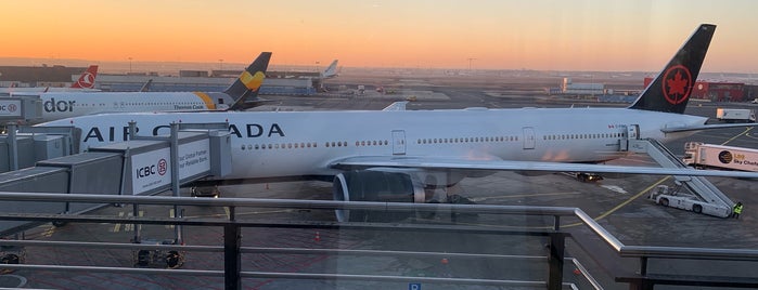 Air Canada Flight AC 873 is one of Toronto.