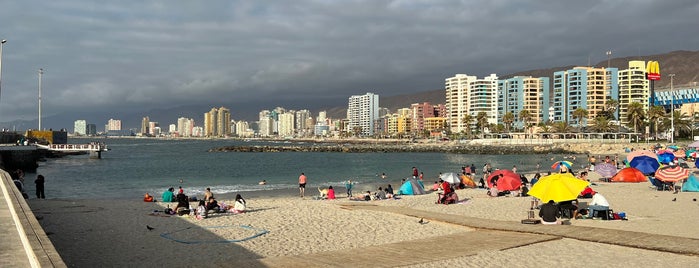 Balneario Municipal is one of Antofagasta.