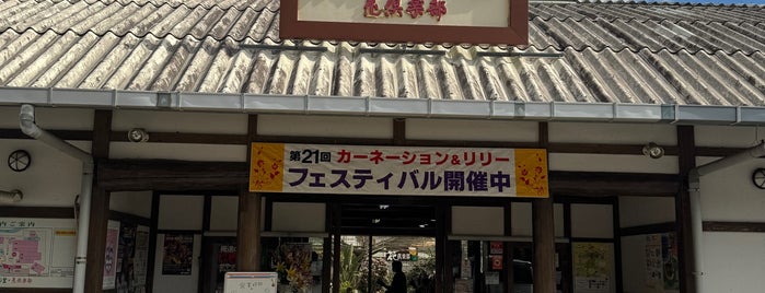 道の駅 おおつの里 花倶楽部 is one of 道の駅めぐり.