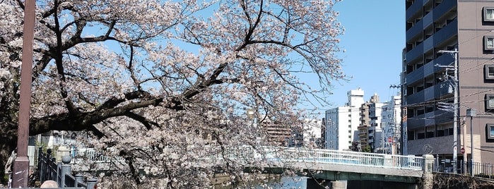 道慶橋 is one of 橋.