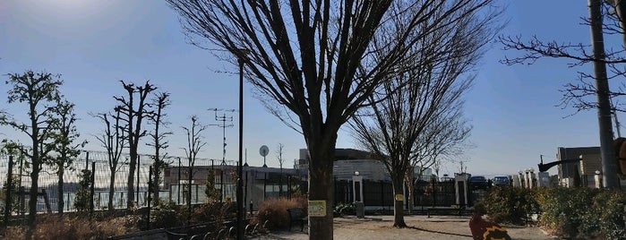 日吉本町三丁目第二公園 is one of 日吉近辺の公園.