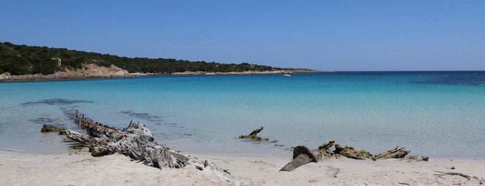 Spiaggia del Relitto is one of Sardegna : best spots.