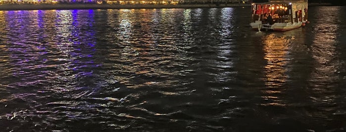 The Nile River is one of Lieux qui ont plu à Jawaher 🕊.
