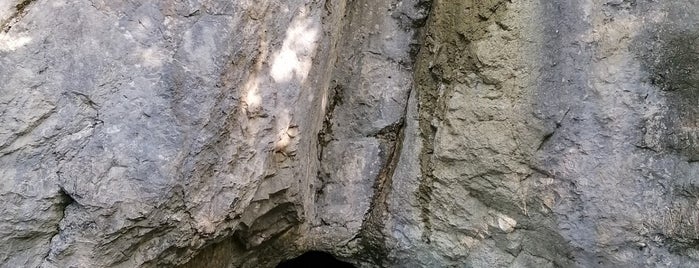 Jaskinia Dziura is one of Zakopane.