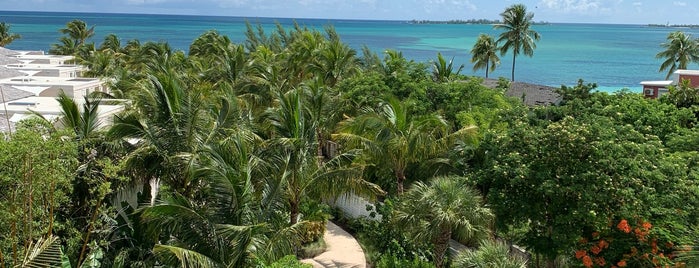 New Providence Island (Nassau) is one of Best spots around the world.