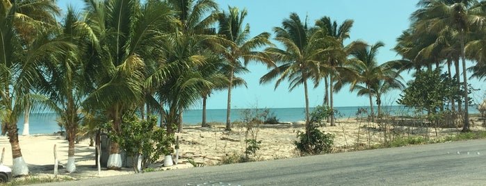 Playa is one of Campeche.