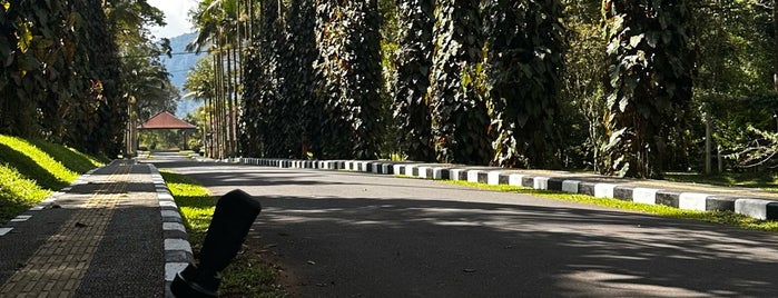 Kebun Raya Eka Karya Bedugul is one of Locais curtidos por Melin.