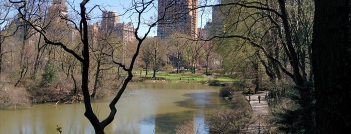 Central Park is one of The Museums & Parks of NYC.